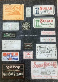 Sugar cane 2016 fall & winter